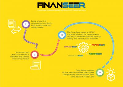 FinanSeer Infographic